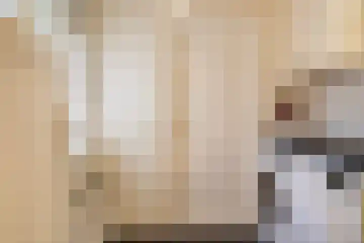 De Toeslag 4 Schoonebeek thumbnail 26