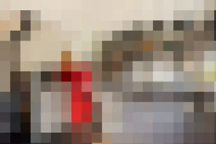 De Toeslag 4 Schoonebeek thumbnail 31