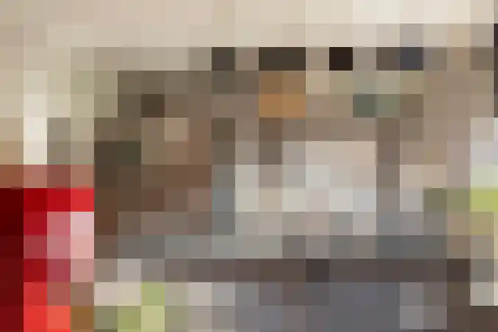 De Toeslag 4 Schoonebeek thumbnail 32