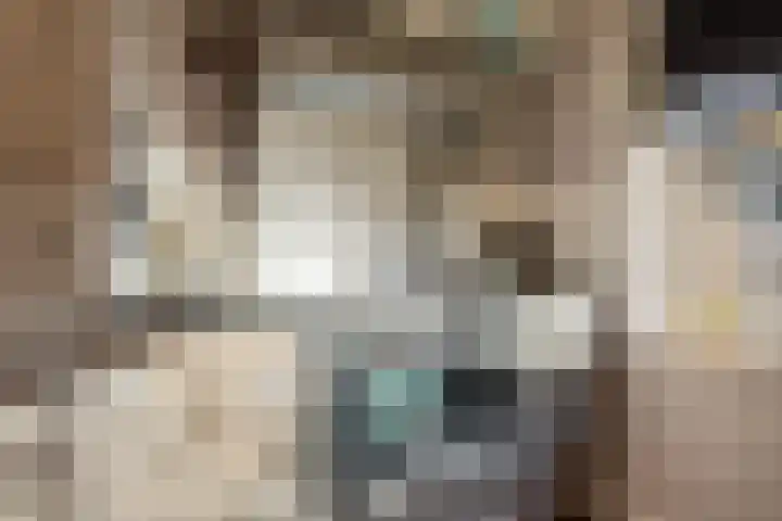 De Toeslag 4 Schoonebeek thumbnail 33