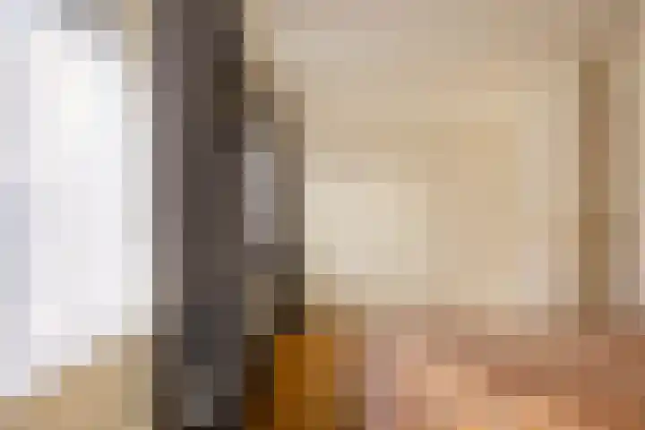 De Toeslag 4 Schoonebeek thumbnail 36