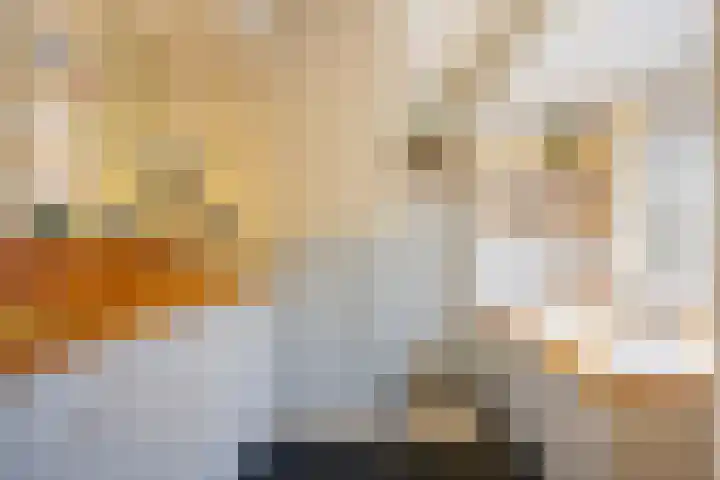 De Toeslag 4 Schoonebeek thumbnail 38