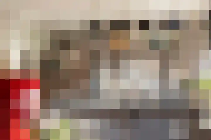De Toeslag 4 Schoonebeek thumbnail 4