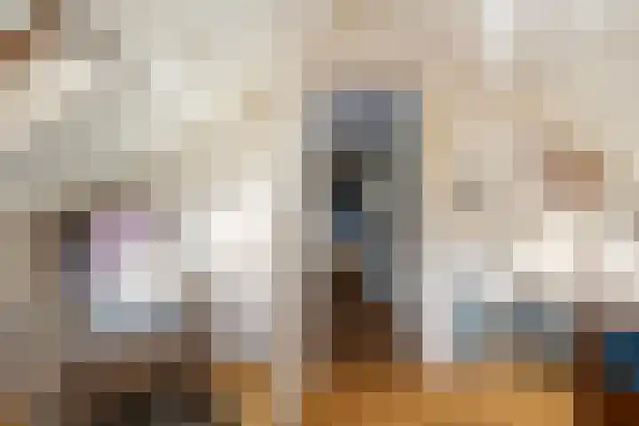 De Toeslag 4 Schoonebeek thumbnail 42