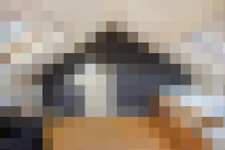 De Toeslag 4 Schoonebeek thumbnail 44