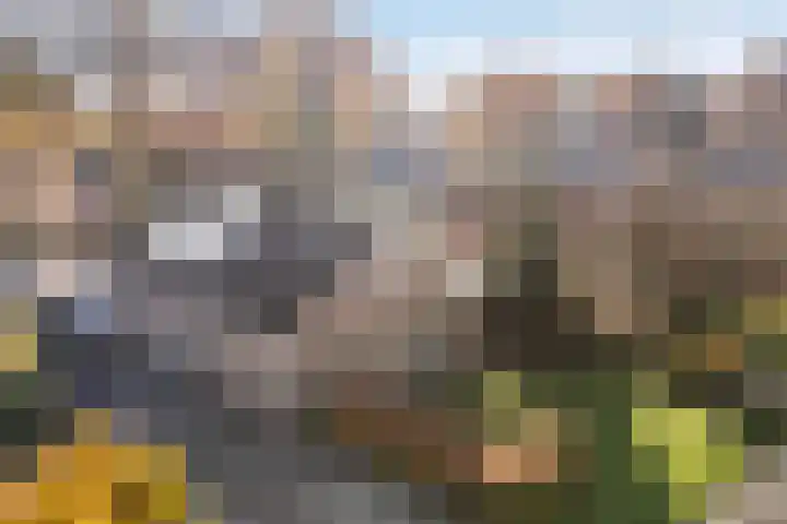 De Toeslag 4 Schoonebeek thumbnail 47