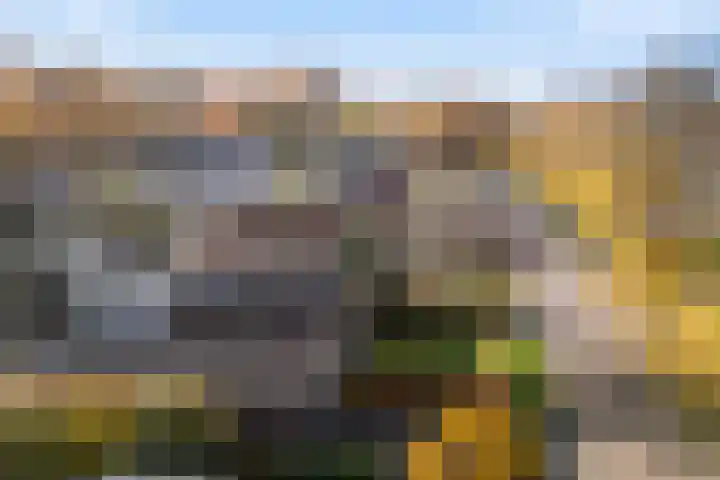 De Toeslag 4 Schoonebeek thumbnail 48