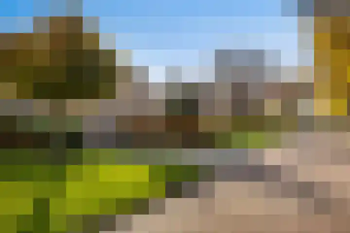 De Toeslag 4 Schoonebeek thumbnail 49
