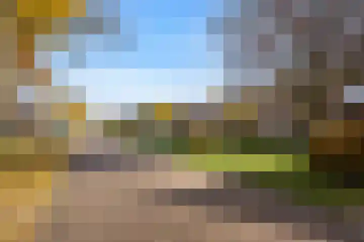 De Toeslag 4 Schoonebeek thumbnail 5