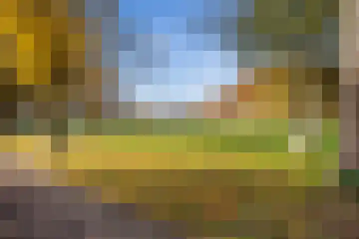 De Toeslag 4 Schoonebeek thumbnail 50