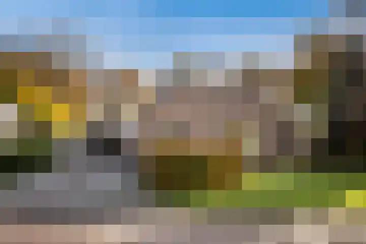 De Toeslag 4 Schoonebeek thumbnail 6