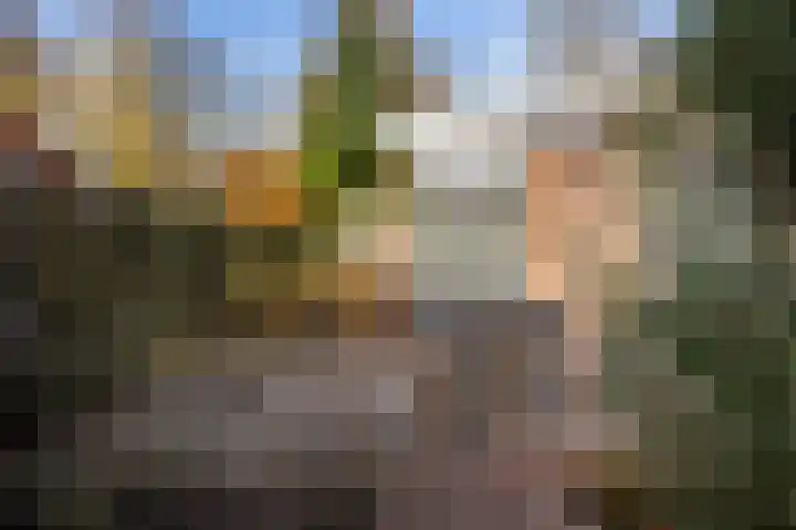 De Toeslag 4 Schoonebeek thumbnail 9