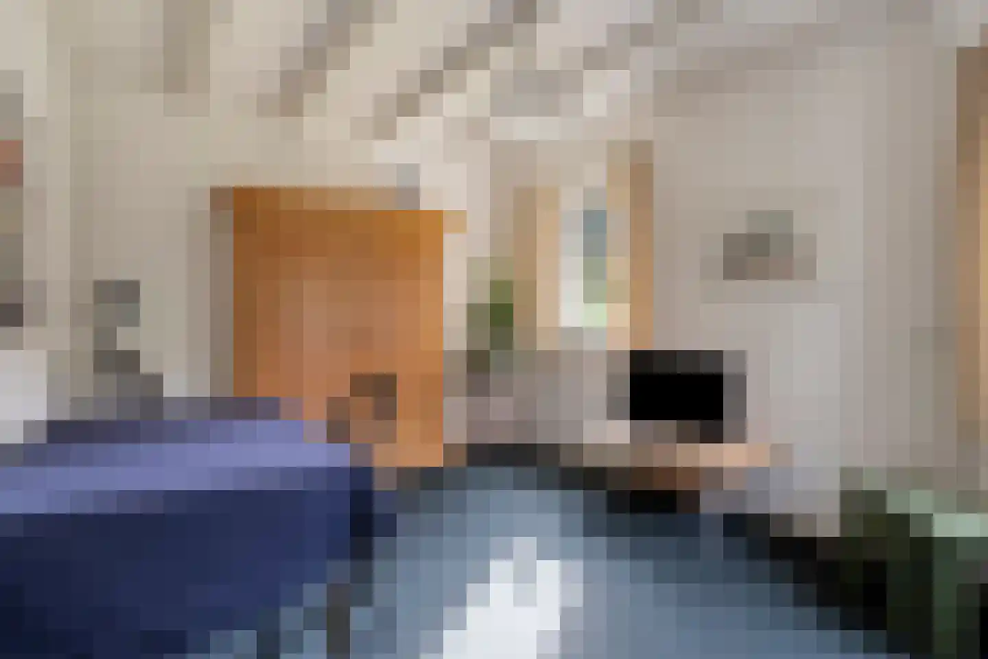 De Toger 12 Berlicum thumbnail 22