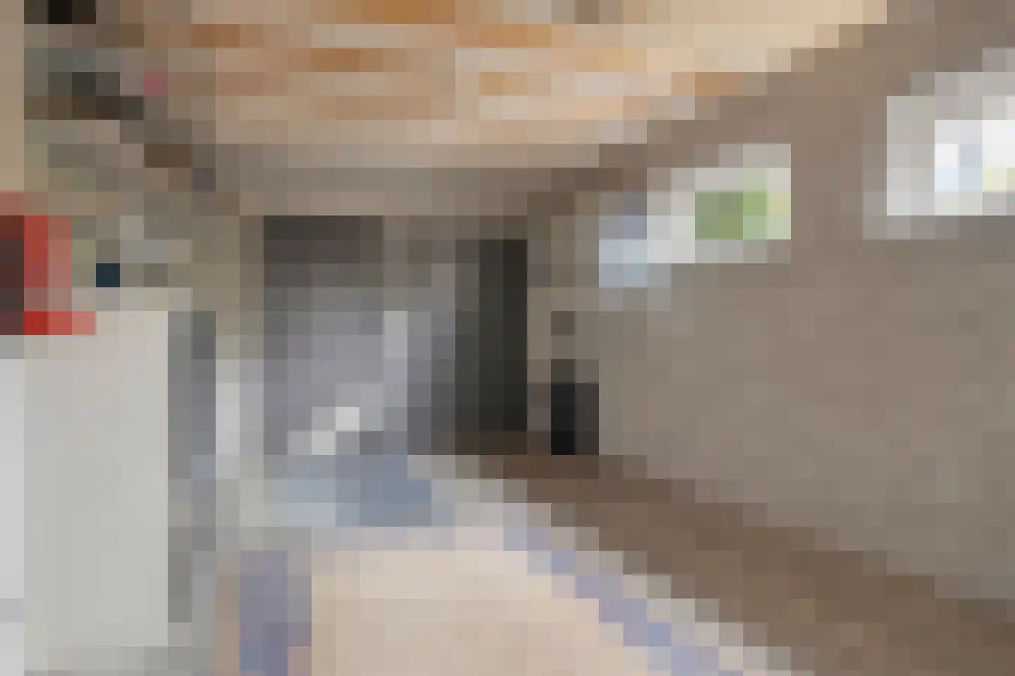 De Toger 12 Berlicum thumbnail 39