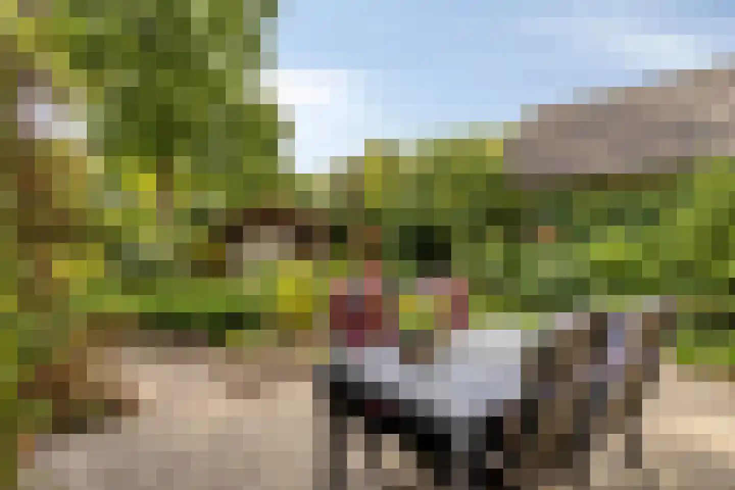 De Toger 12 Berlicum thumbnail 40