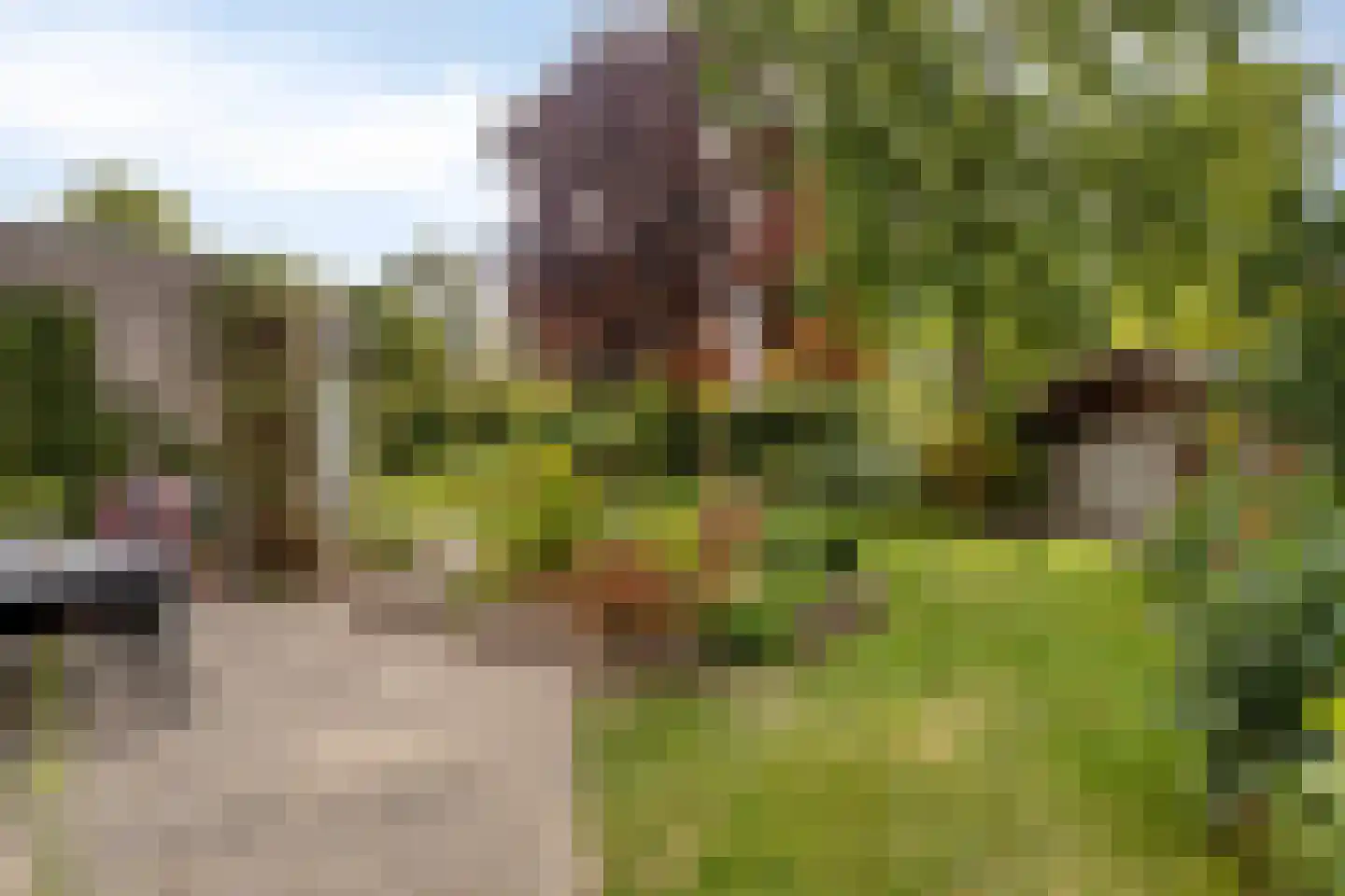 De Toger 12 Berlicum thumbnail 41