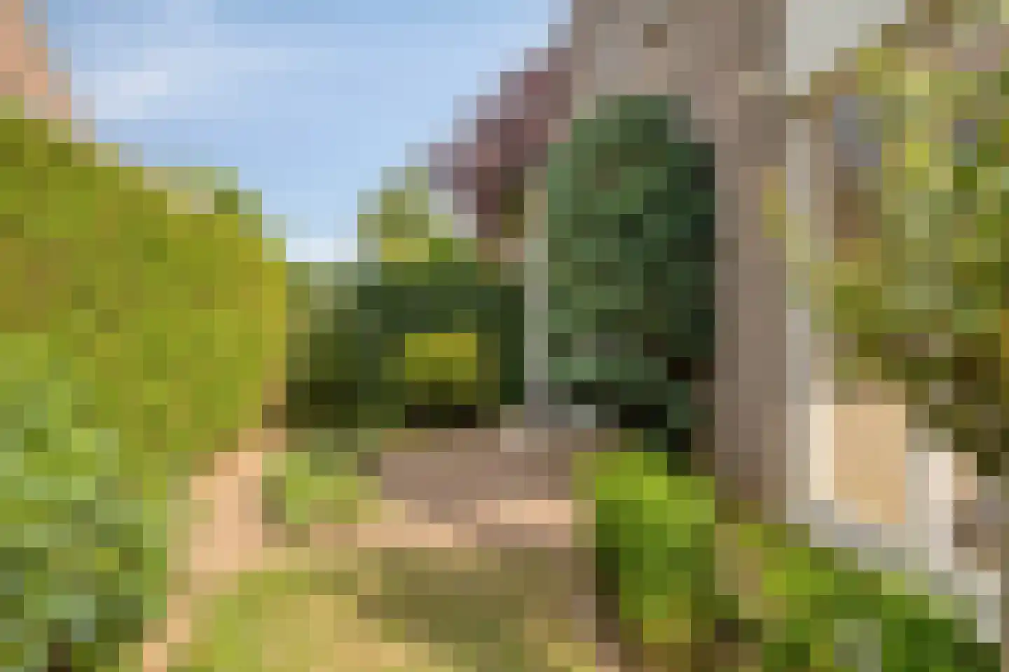 De Toger 12 Berlicum thumbnail 42
