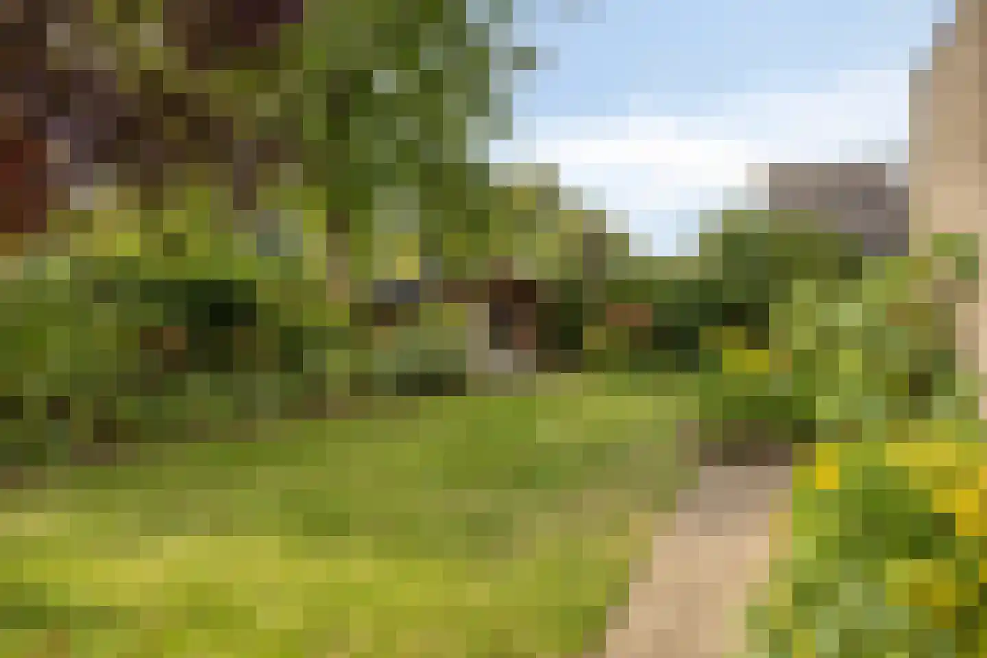 De Toger 12 Berlicum thumbnail 45