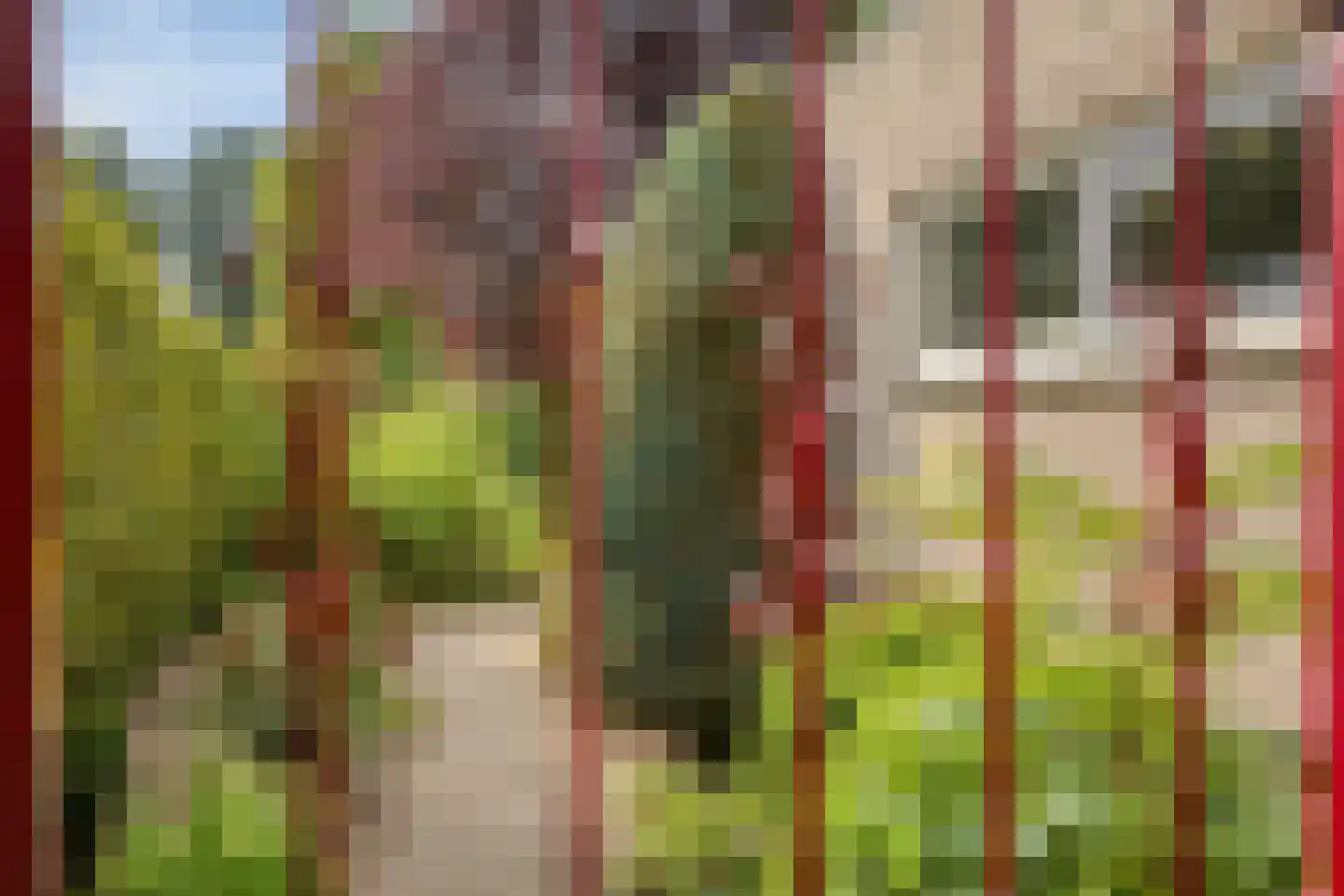 De Toger 12 Berlicum thumbnail 46