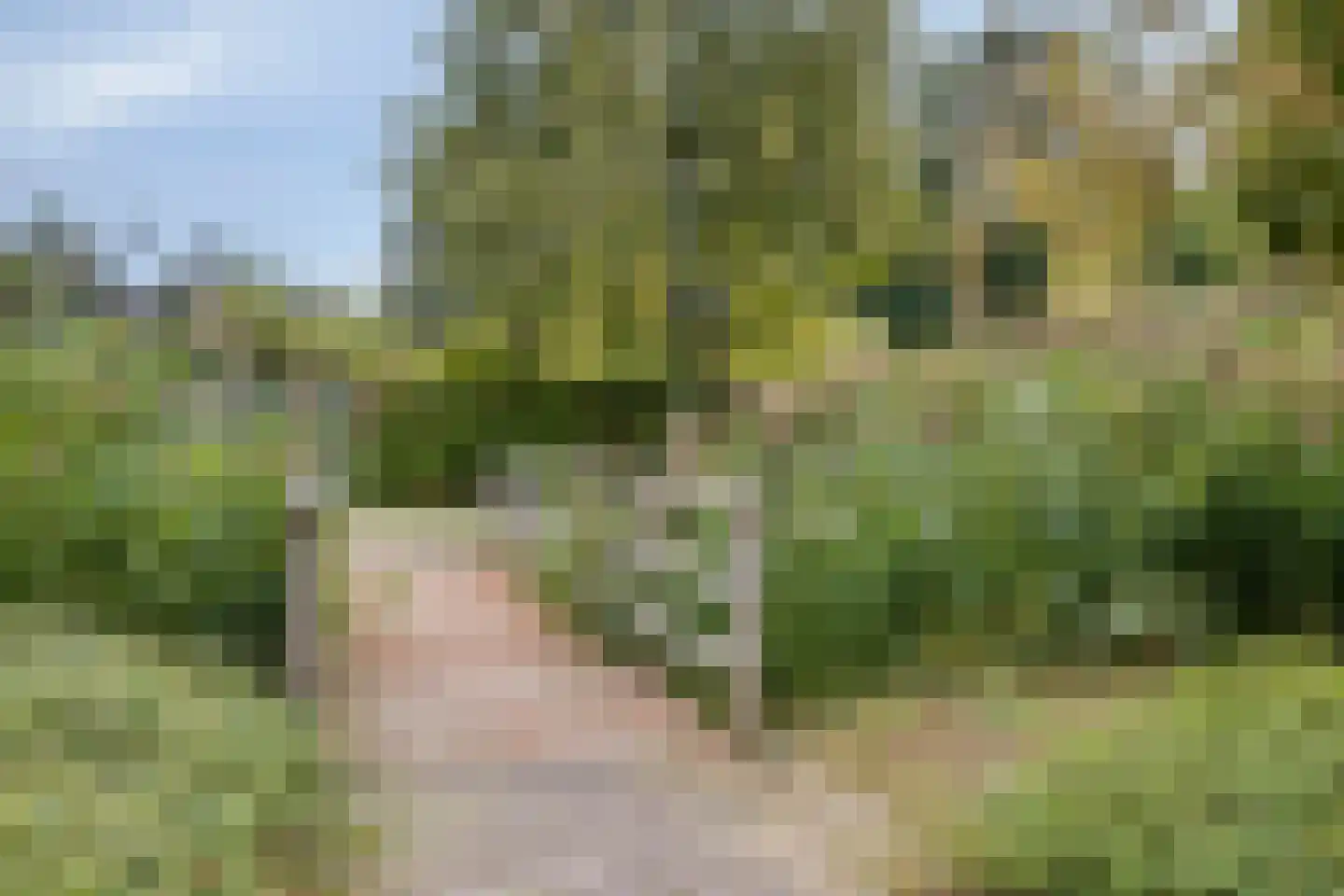 De Toger 12 Berlicum thumbnail 48
