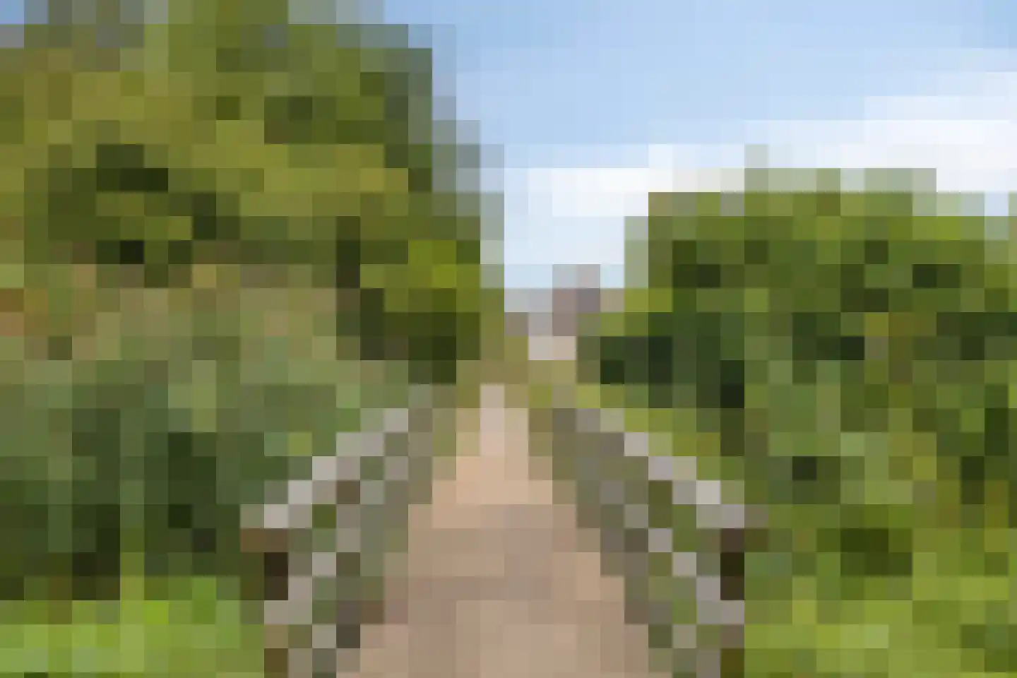 De Toger 12 Berlicum thumbnail 51