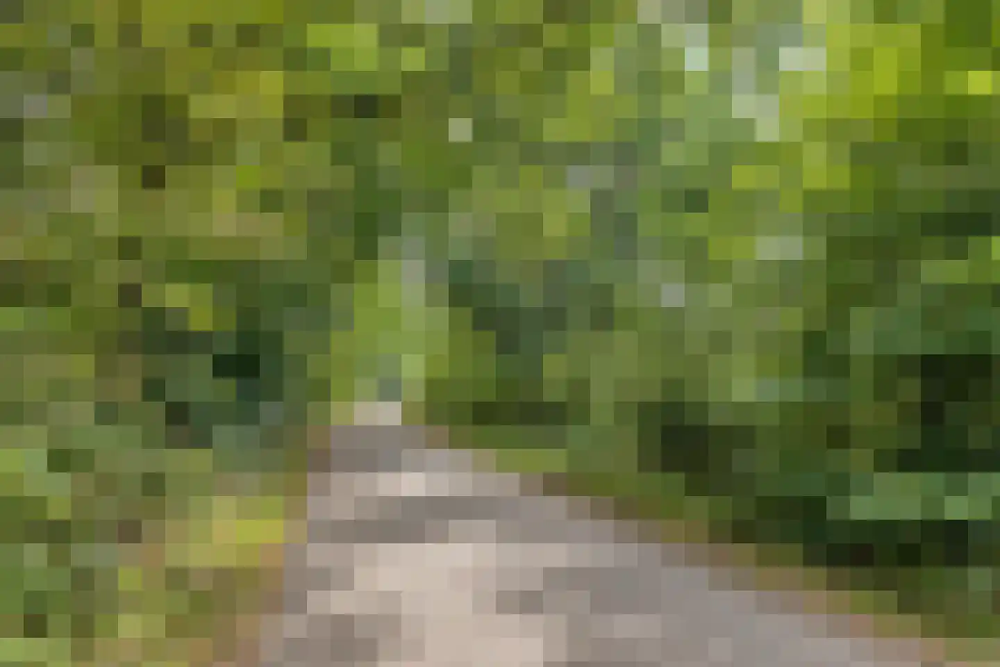De Toger 12 Berlicum thumbnail 52