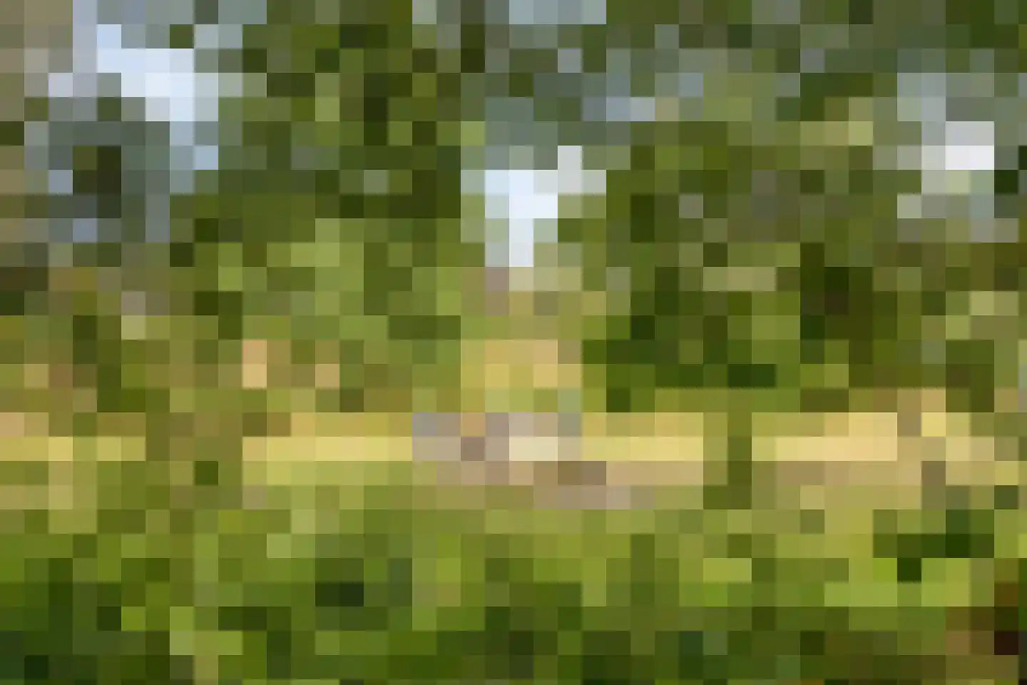 De Toger 12 Berlicum thumbnail 53