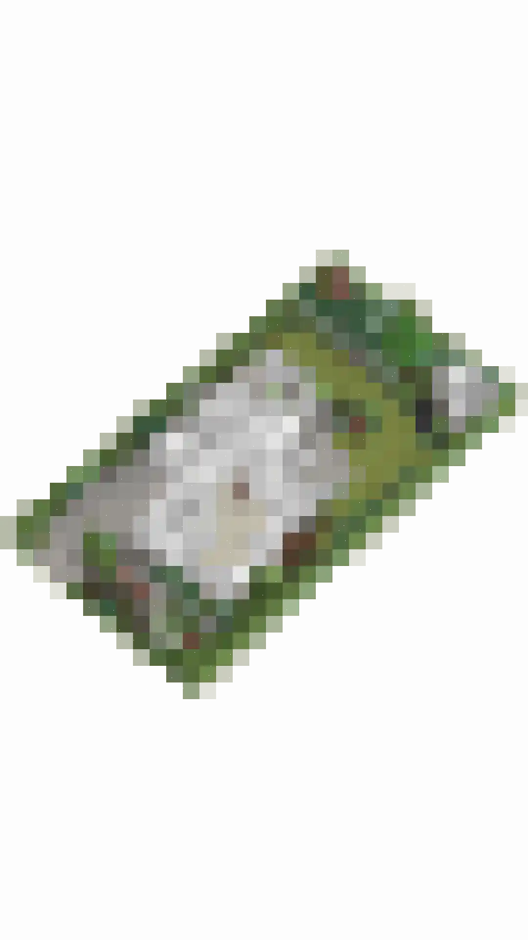De Toger 12 Berlicum thumbnail 63