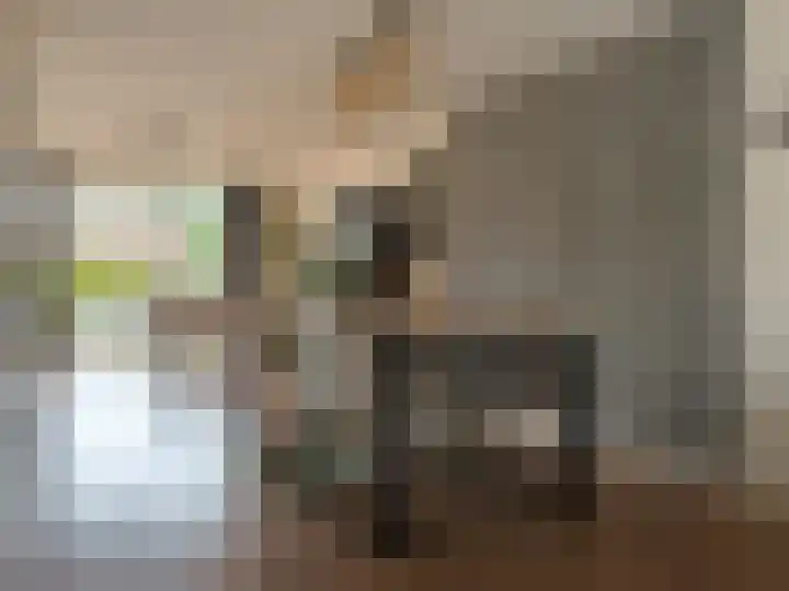 De Tol 11 Amerongen thumbnail 10