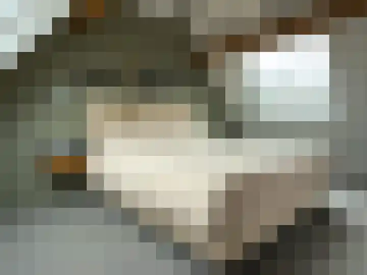 De Tol 11 Amerongen thumbnail 18