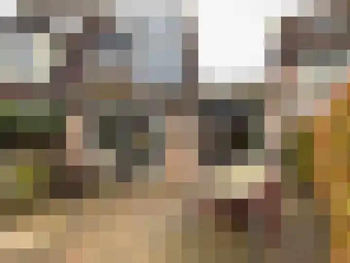 De Tol 11 Amerongen thumbnail 19
