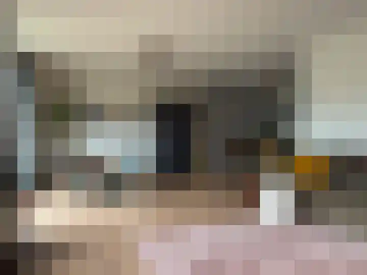 De Tol 11 Amerongen thumbnail 6