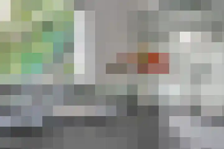 De Tol 11 Woudenberg thumbnail 12