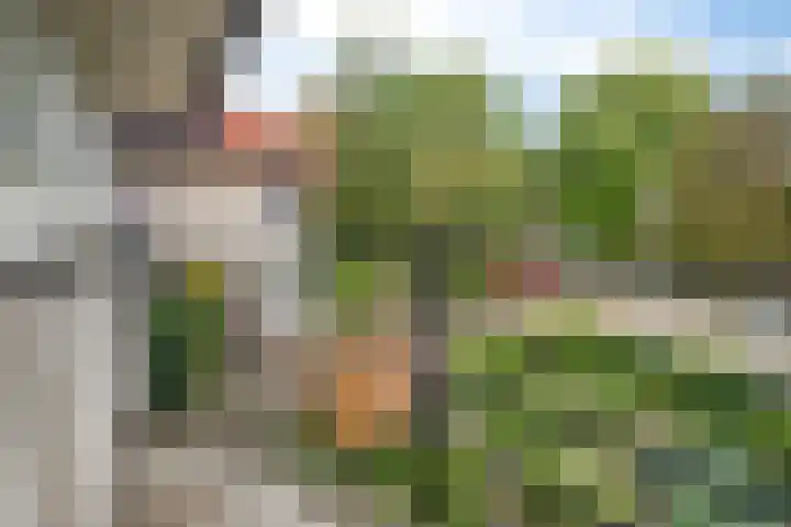 De Tol 11 Woudenberg thumbnail 17