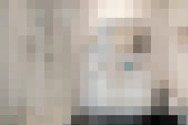 De Tol 11 Woudenberg thumbnail 18