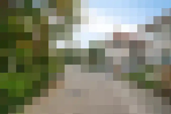 De Tol 11 Woudenberg foto 2
