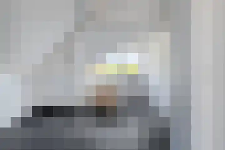 De Tol 11 Woudenberg thumbnail 24