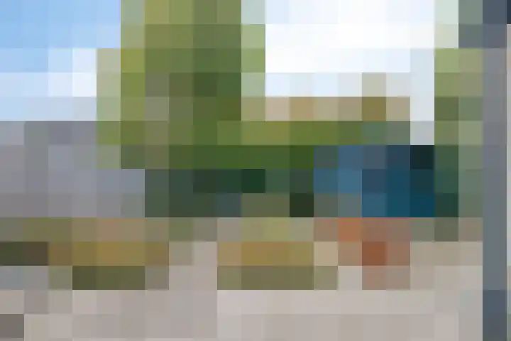 De Tol 11 Woudenberg thumbnail 26