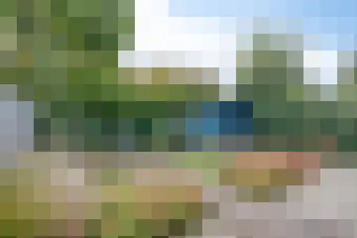 De Tol 11 Woudenberg thumbnail 28