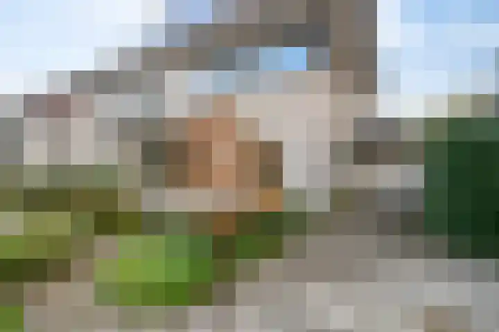 De Tol 11 Woudenberg thumbnail 30