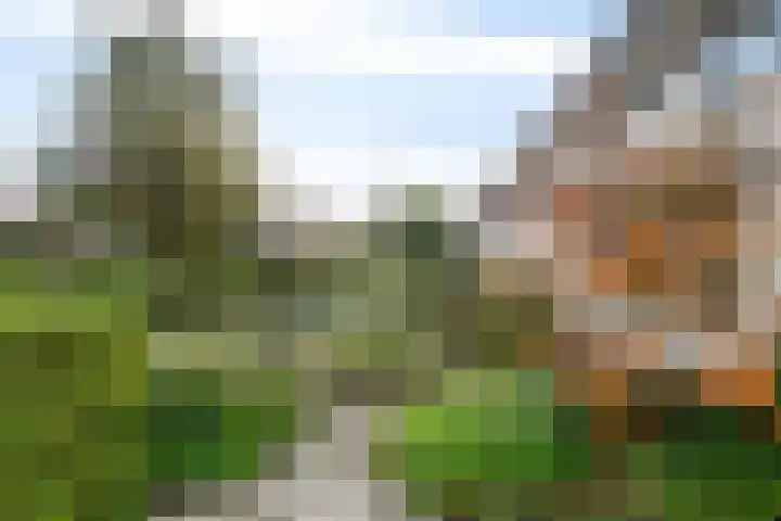 De Tol 11 Woudenberg thumbnail 31