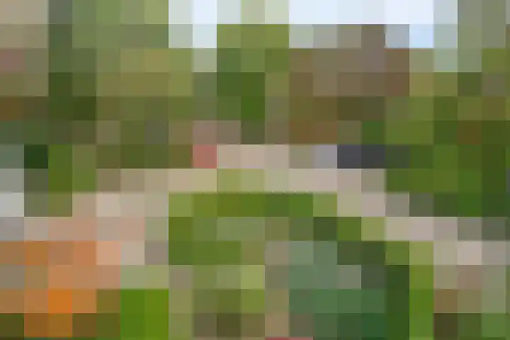 De Tol 11 Woudenberg thumbnail 32