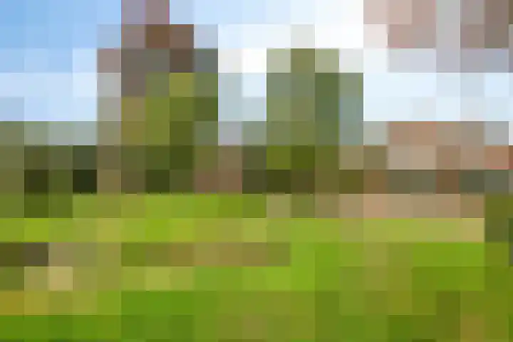De Tol 11 Woudenberg thumbnail 33