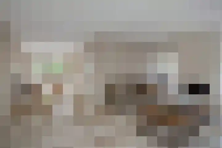 De Tol 11 Woudenberg thumbnail 6