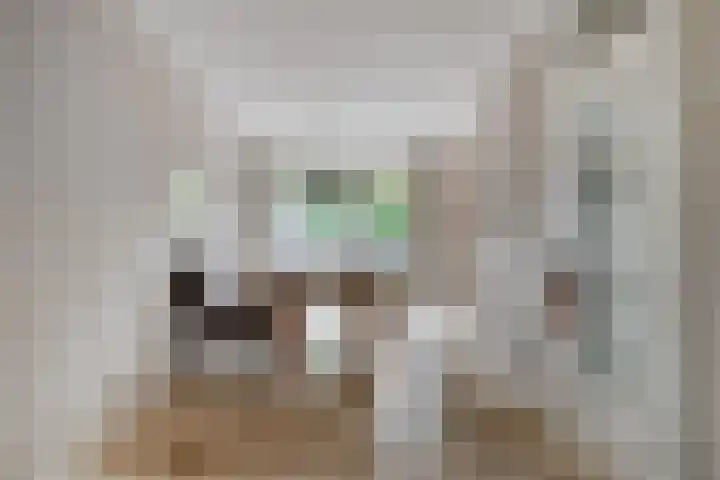 De Tol 11 Woudenberg thumbnail 8