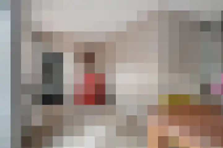 De Tol 11 Woudenberg thumbnail 9