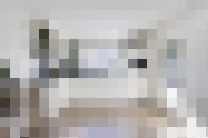 De Tol 14 Dinxperlo thumbnail 12