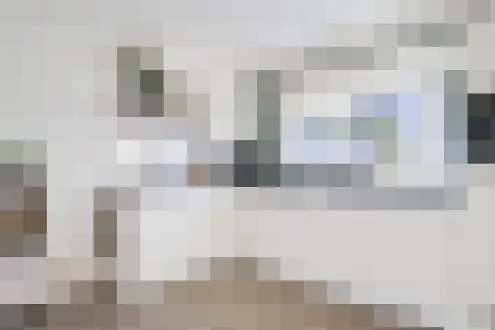 De Tol 14 Dinxperlo thumbnail 13