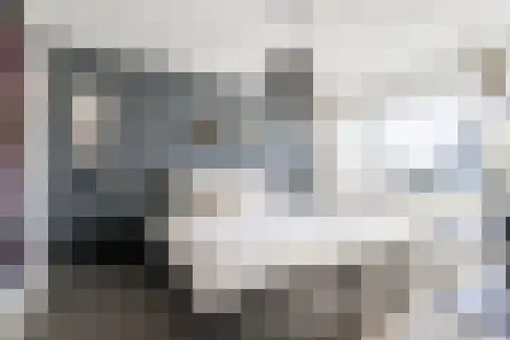De Tol 14 Dinxperlo thumbnail 17