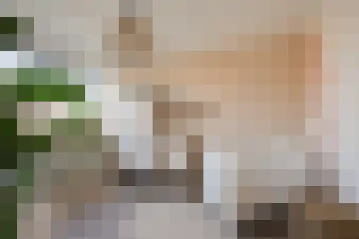 De Tol 14 Dinxperlo thumbnail 18